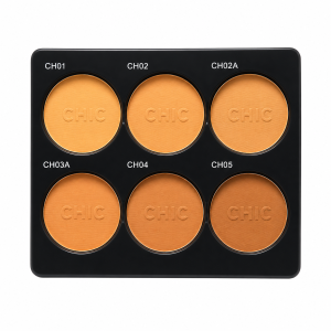 HD Matte Full Coverage Powder Palette (6 Shades)